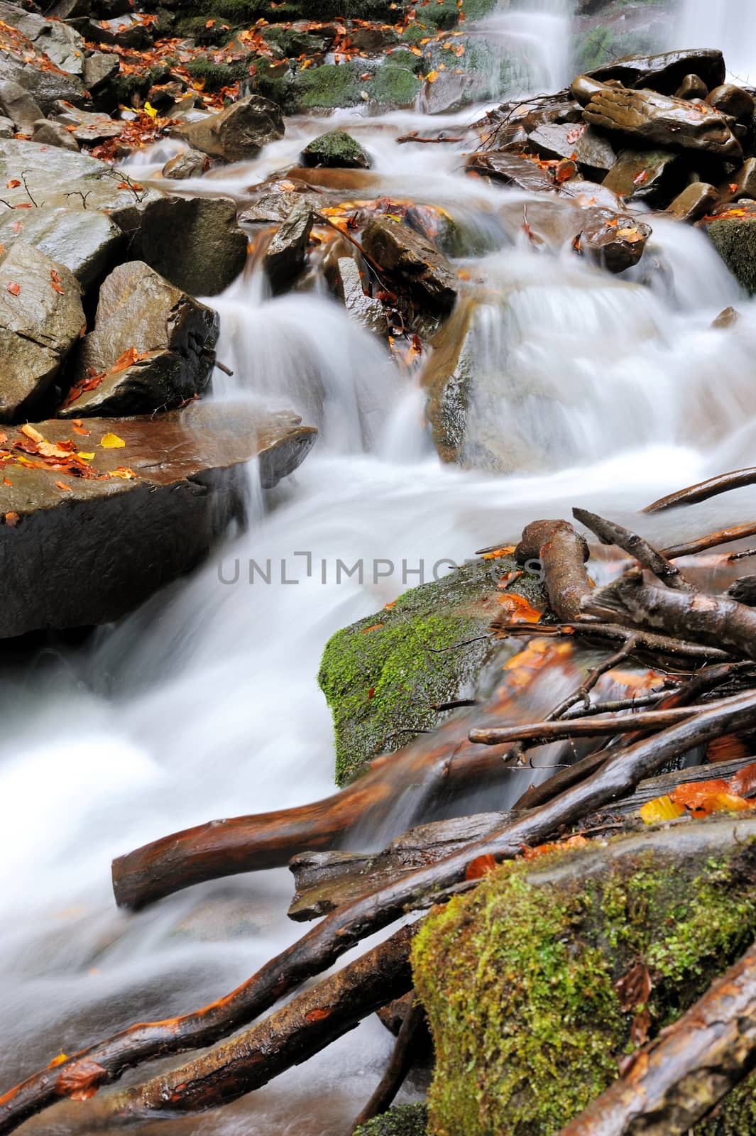 Waterfall in forest by byrdyak