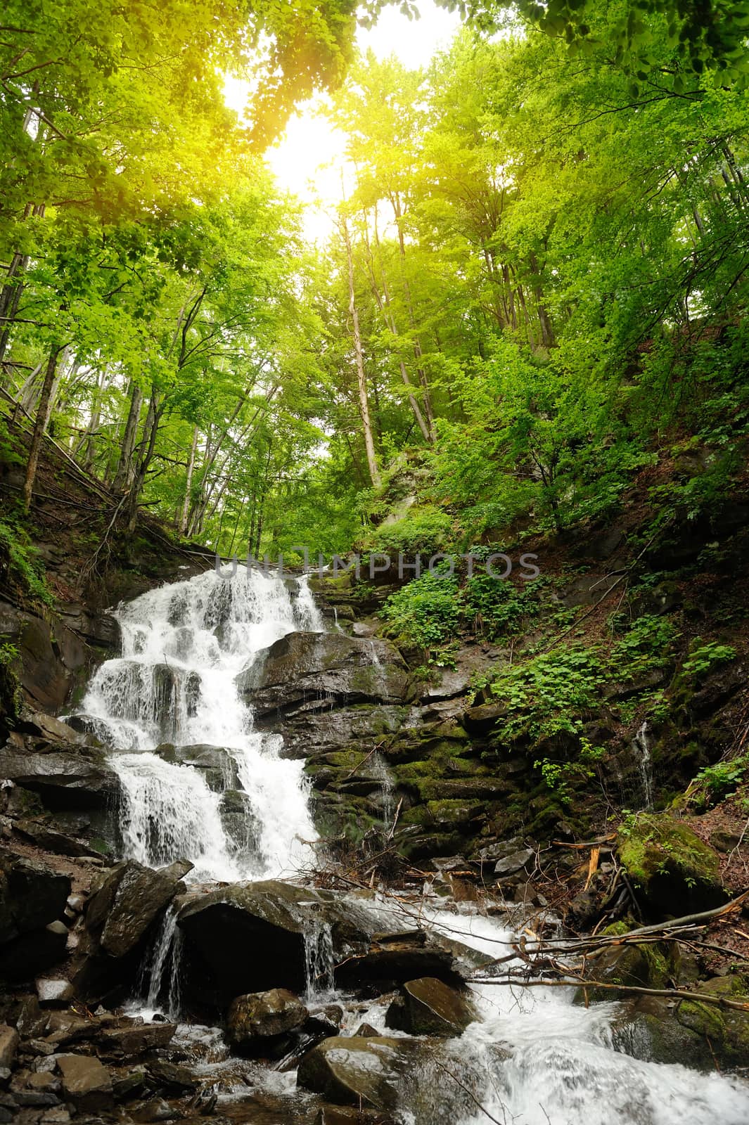 Waterfall in forest. In the deep forest on mountain