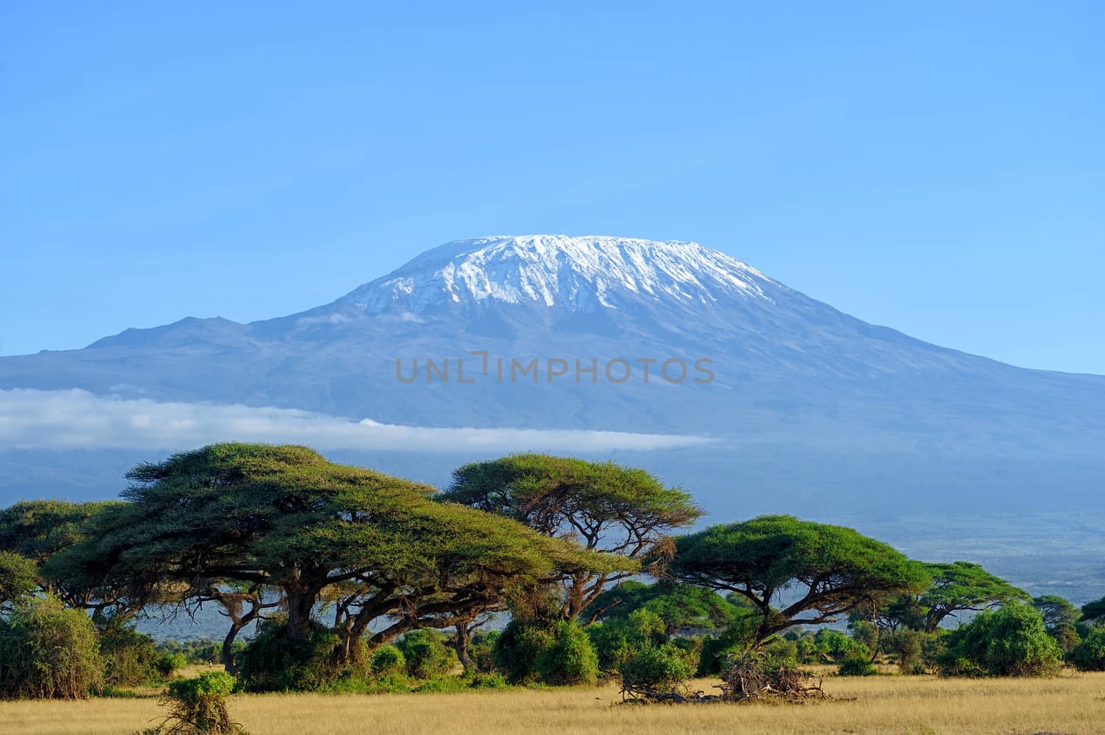 Snow on top of Mount Kilimanjaro in Amboseli