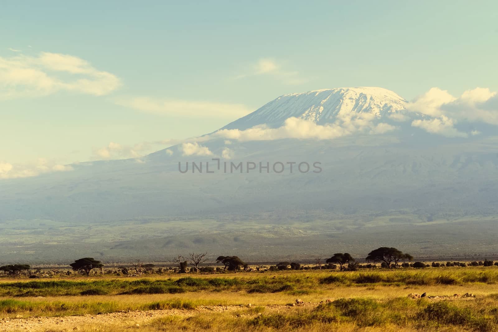 Kilimanjaro mountain by byrdyak