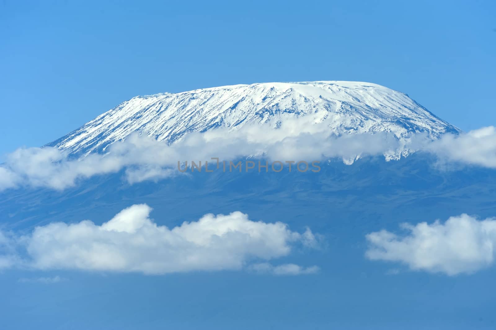 Snow on top of Mount Kilimanjaro by byrdyak