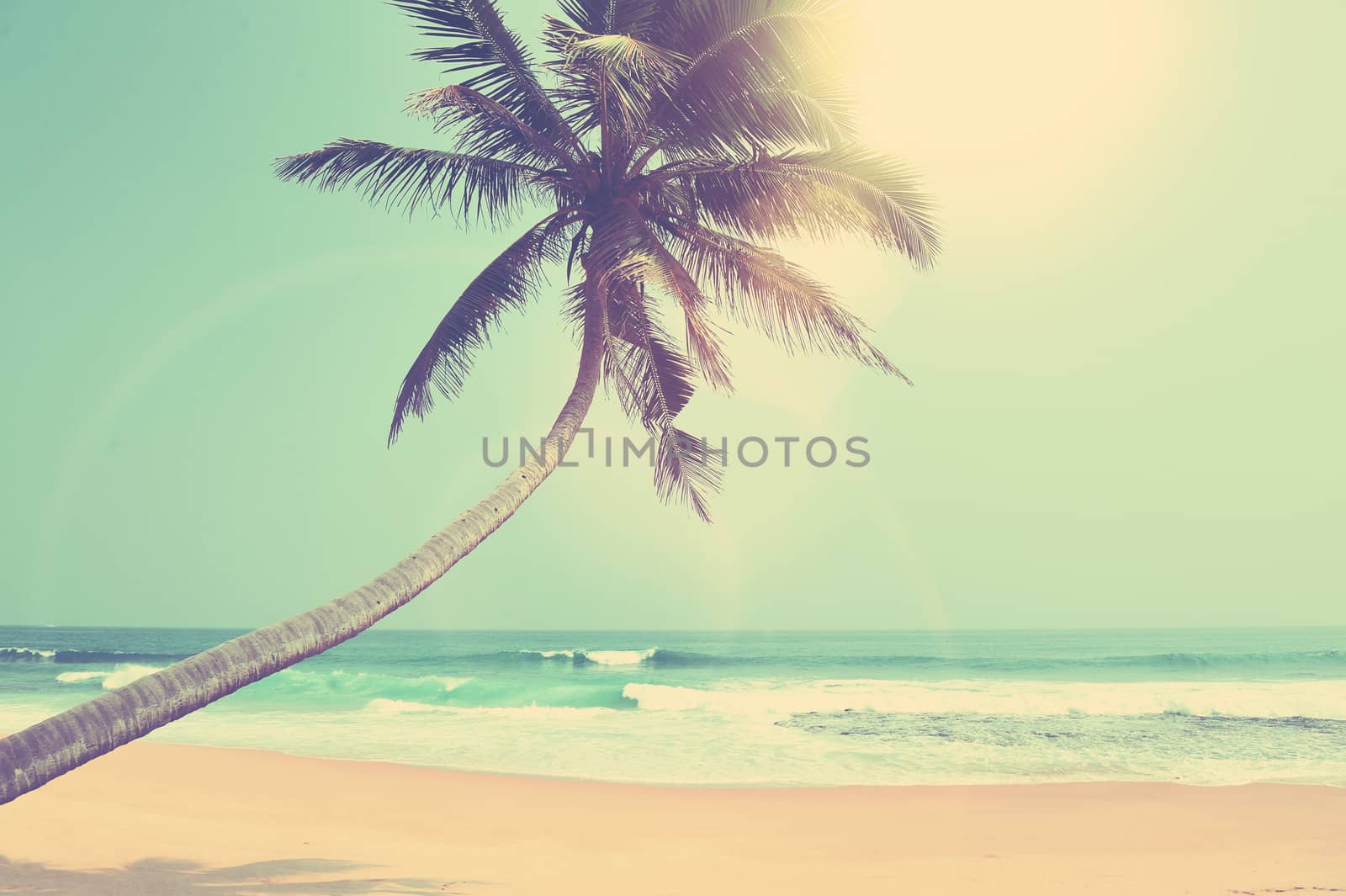 Tropical beach with palm on exotic island