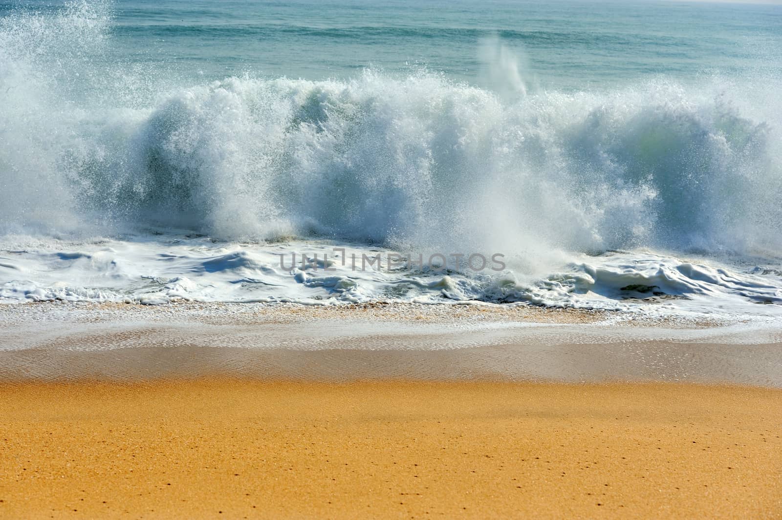 Wave of the ocean by byrdyak