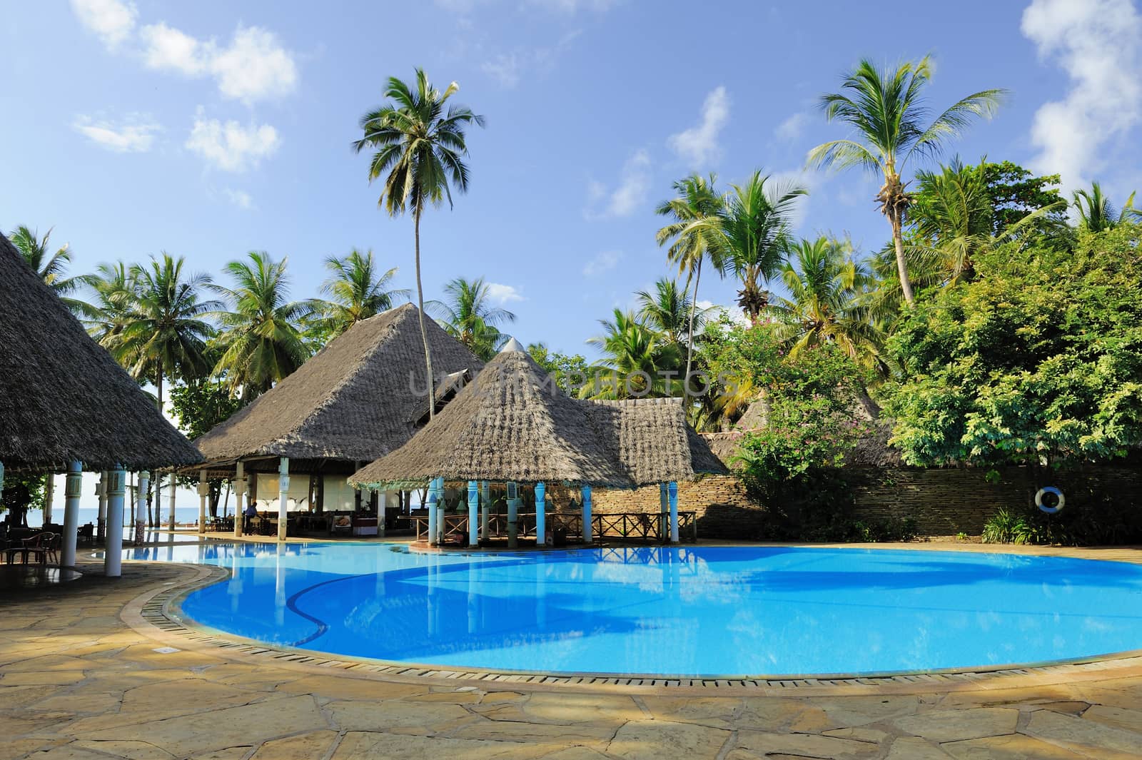 Luxury hotel with swimming pool and palm
