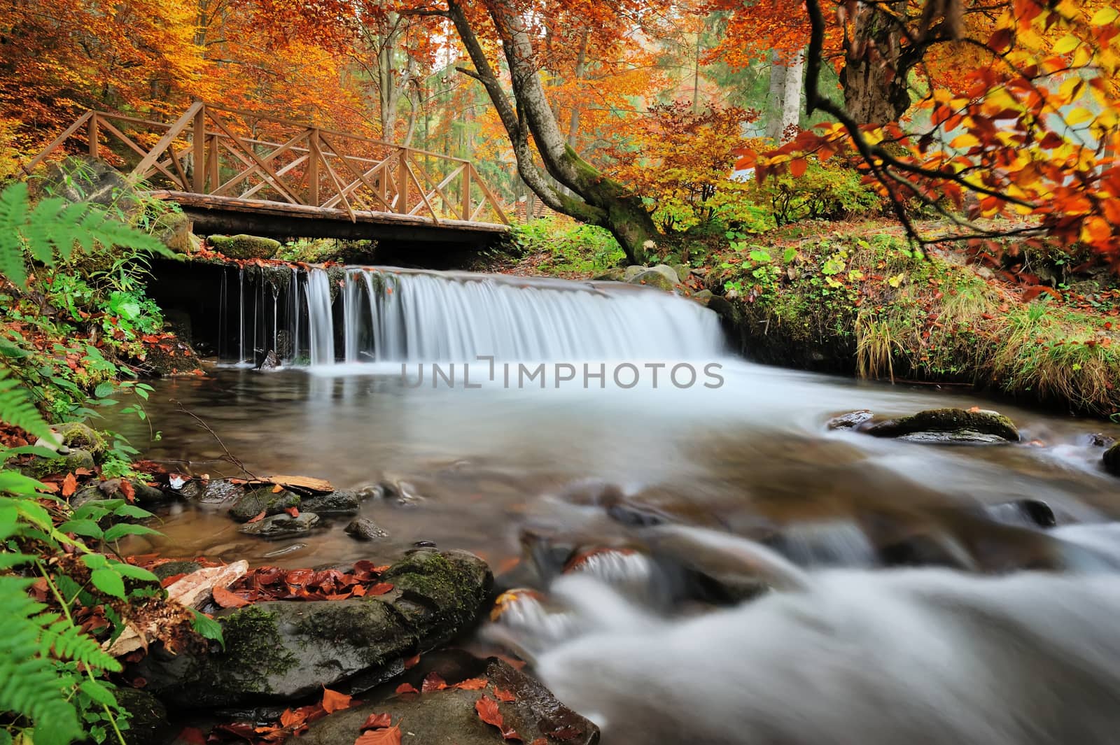 Autumn forest waterfall and rocks with yellow leaves