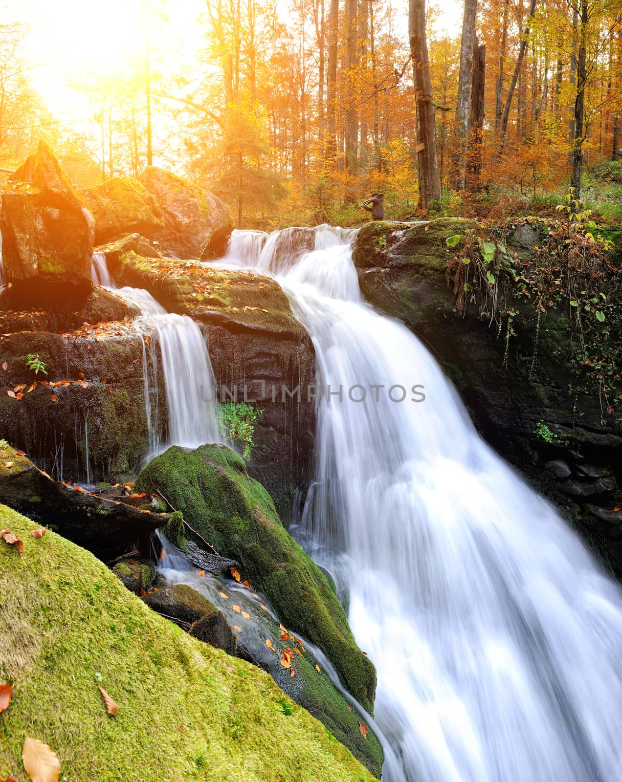 Beautiful mountain river in the autumn forest