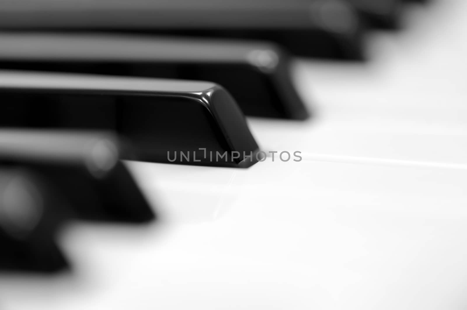 Close-up of piano keyboard. Close frontal view