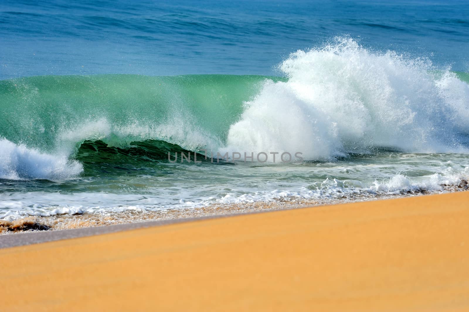 Wave of the ocean by byrdyak