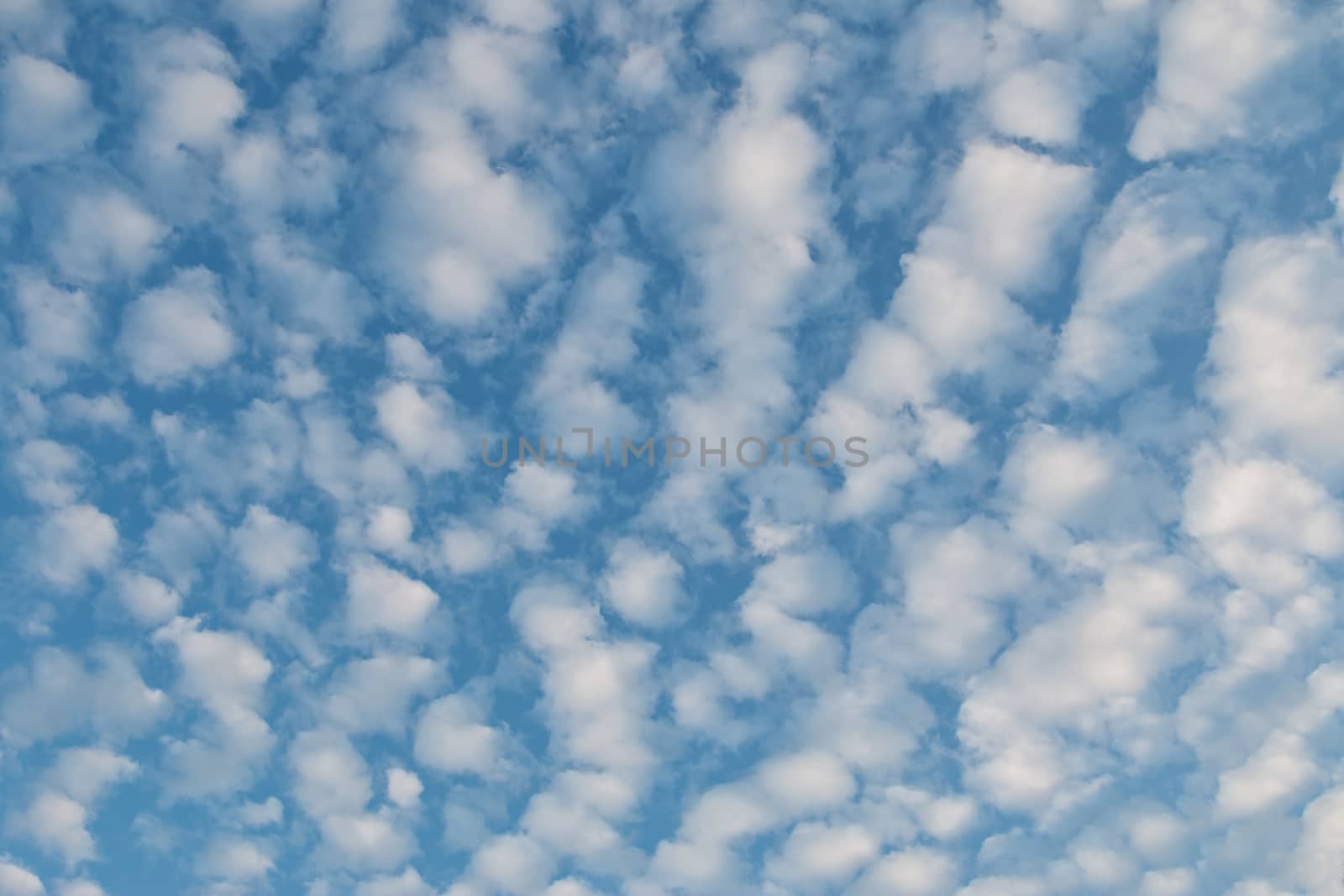 Altocumulus Clouds forming pattern against blue sky