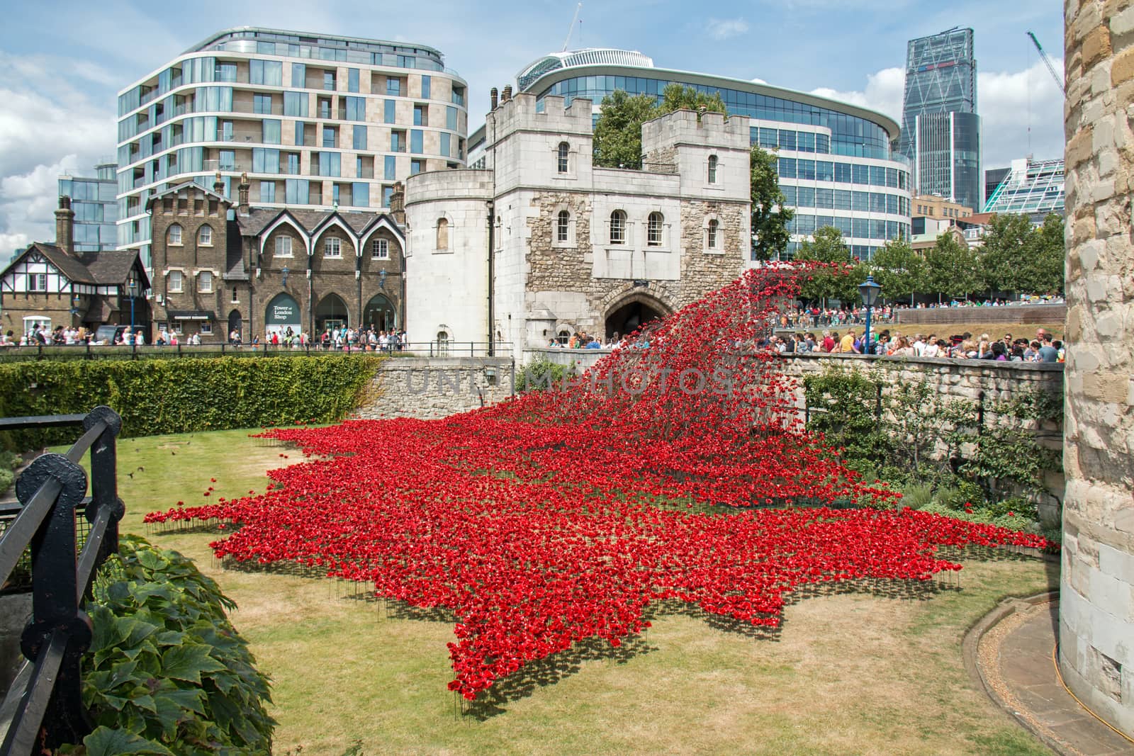 Display of ceramic poppies commemorating the centenary of the start of the First World War, with the poppies representing military personnel killed during the War.