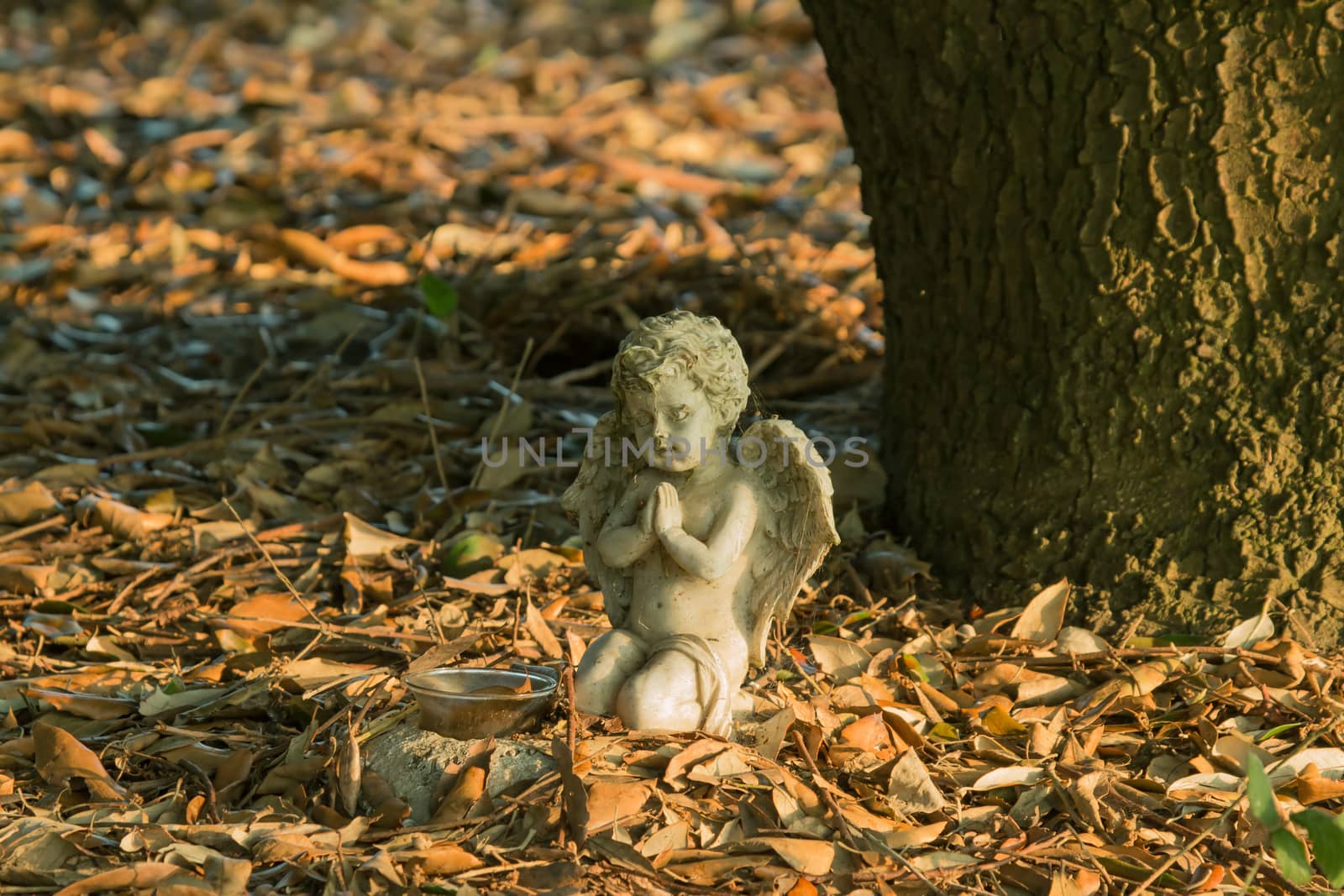 Tiny angel statue in country churchyard