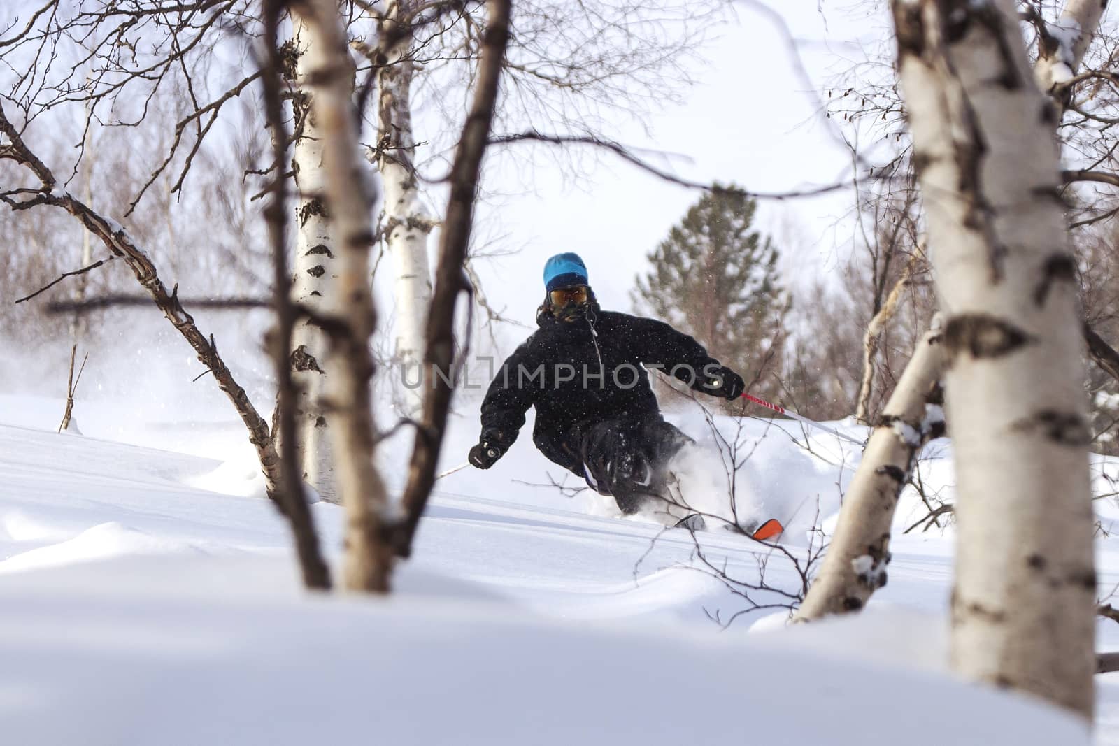 Freeride run in Siberian forest, powder run