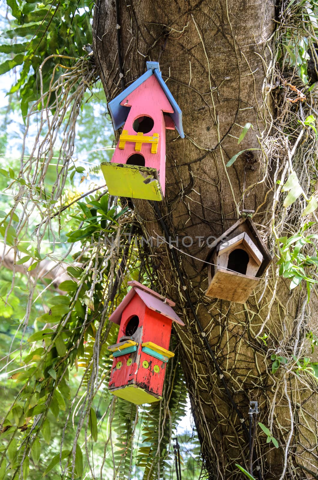 Birdhouse colorfull in garden outdoors by worrayuth