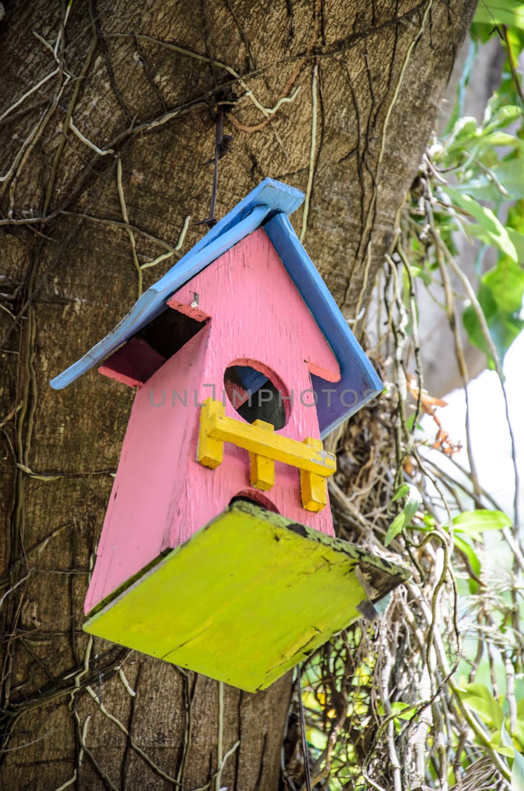 Birdhouse pink color in garden outdoors by worrayuth