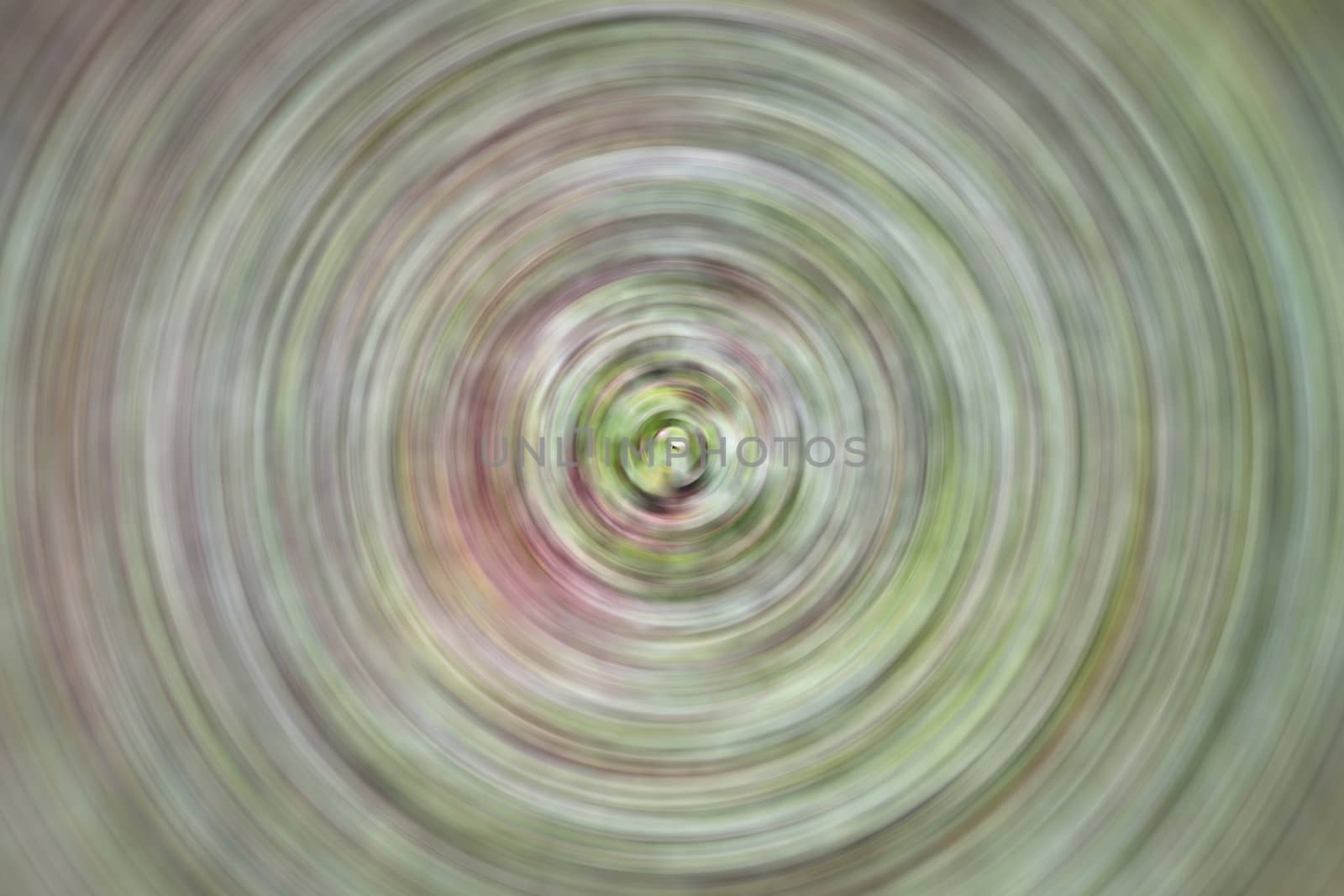 Abstract radial blur background from green leaves, stock photo