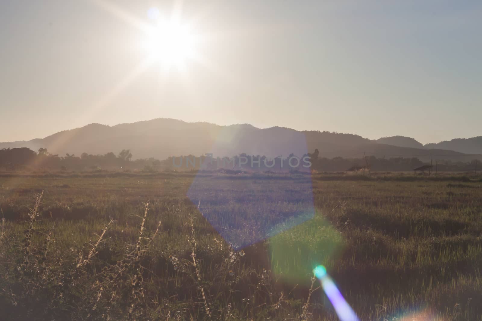 Sunrise and field with lens flare, stock photo