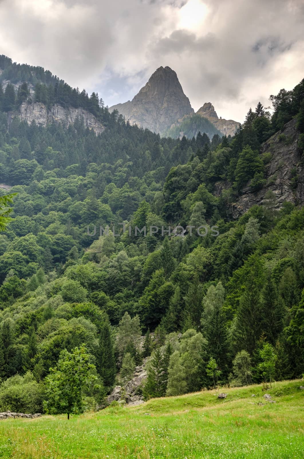 Mountain landscape by javax
