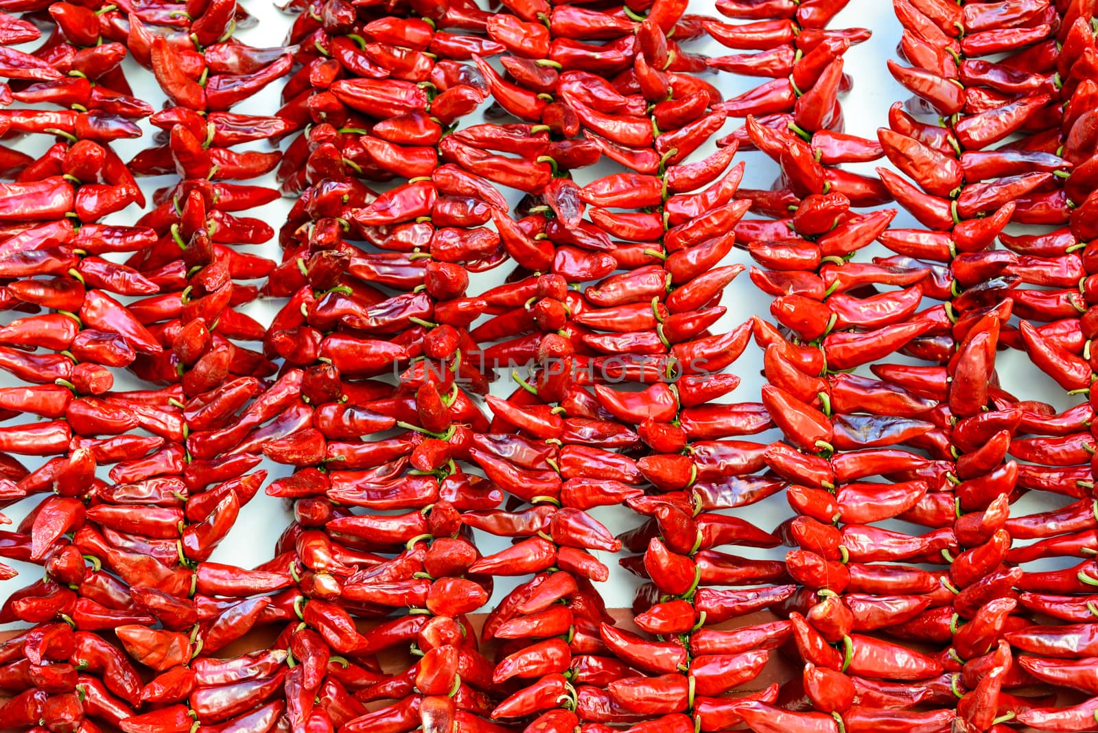 Strings of PDO Espelette chilli peppers drying, France