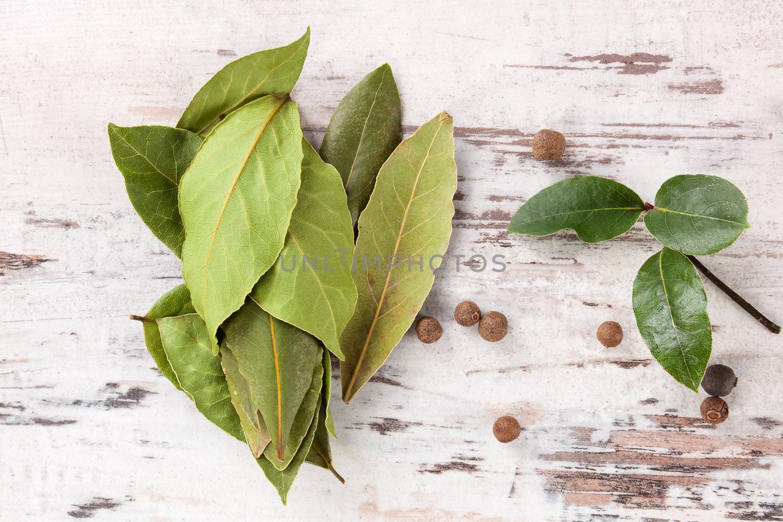 Bay leaves background. by eskymaks