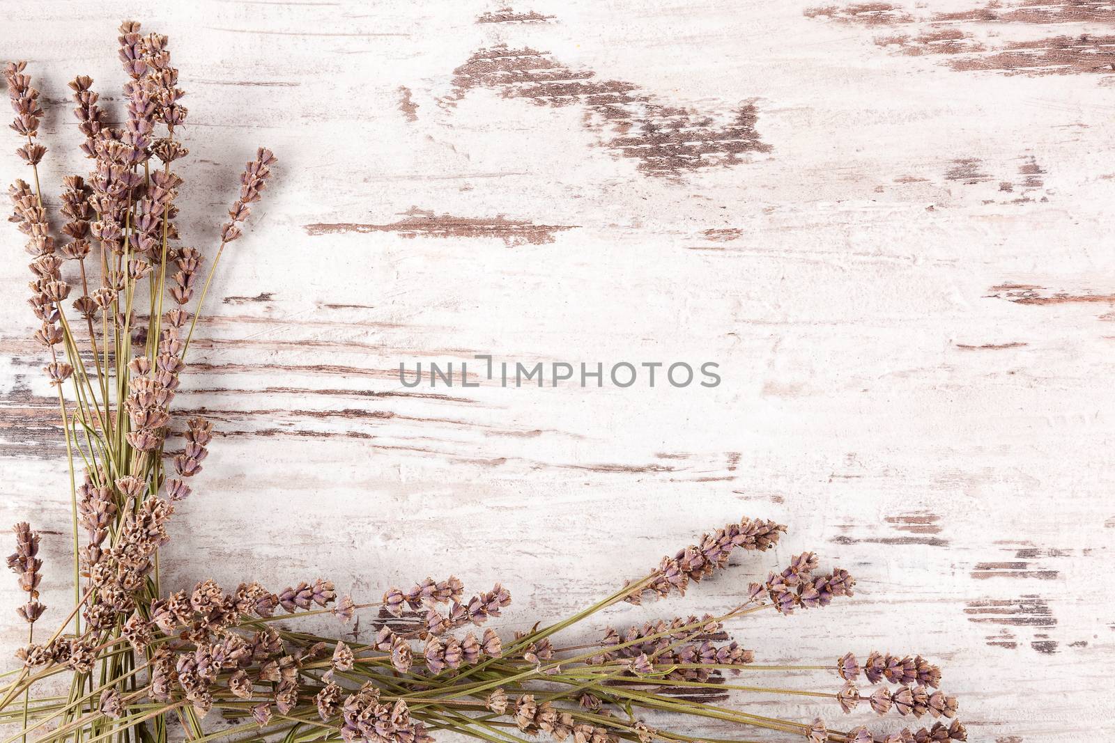 Lavender background. Lavender on white wooden antique textured background, top view, provence style.