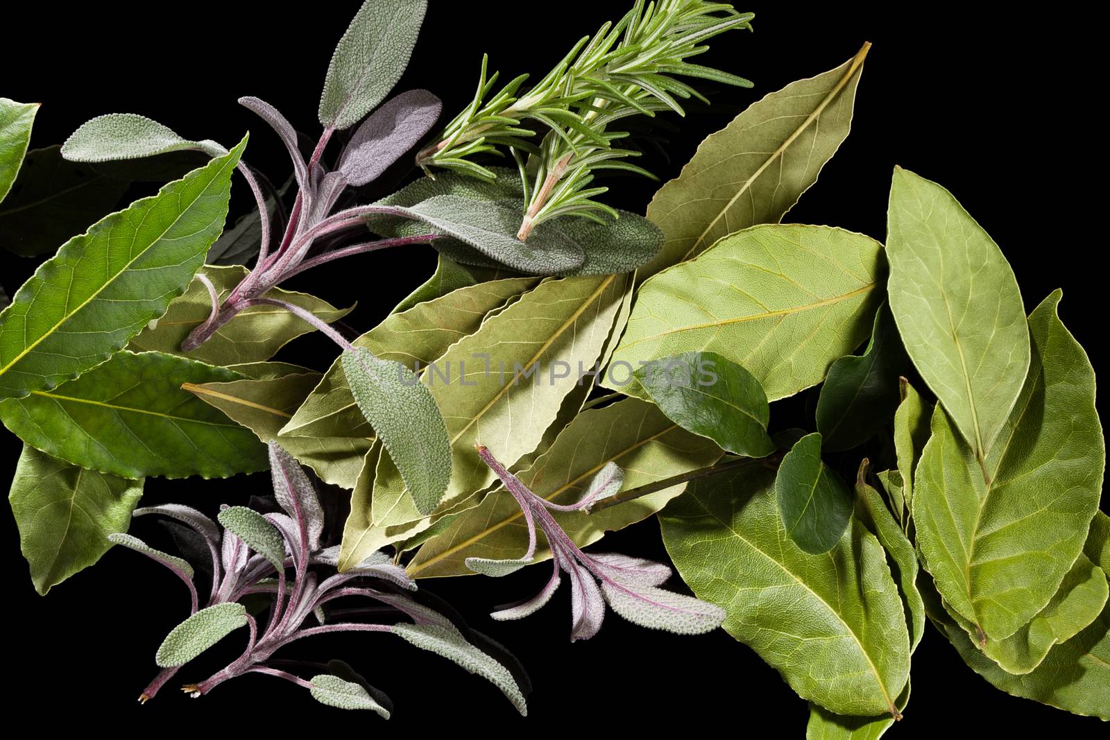 Traditional culinary herbs. Bay leaves, sage and rosemary on black background, top view.