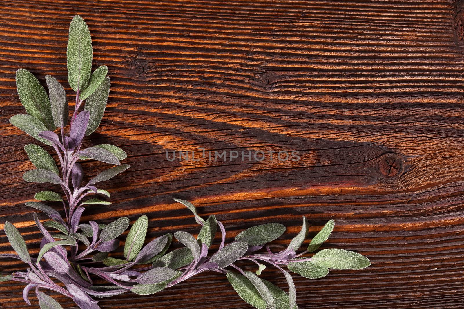 Sage herb on brown wooden rustic background with copy space. Alternative herbal medicine background with copy space.