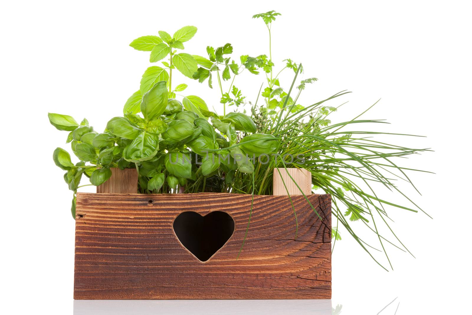 Herbs in wooden crate. by eskymaks