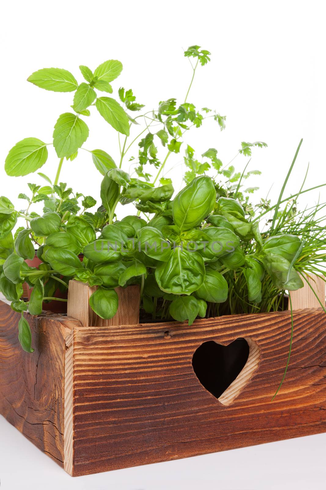 Herbs in wooden crate. by eskymaks