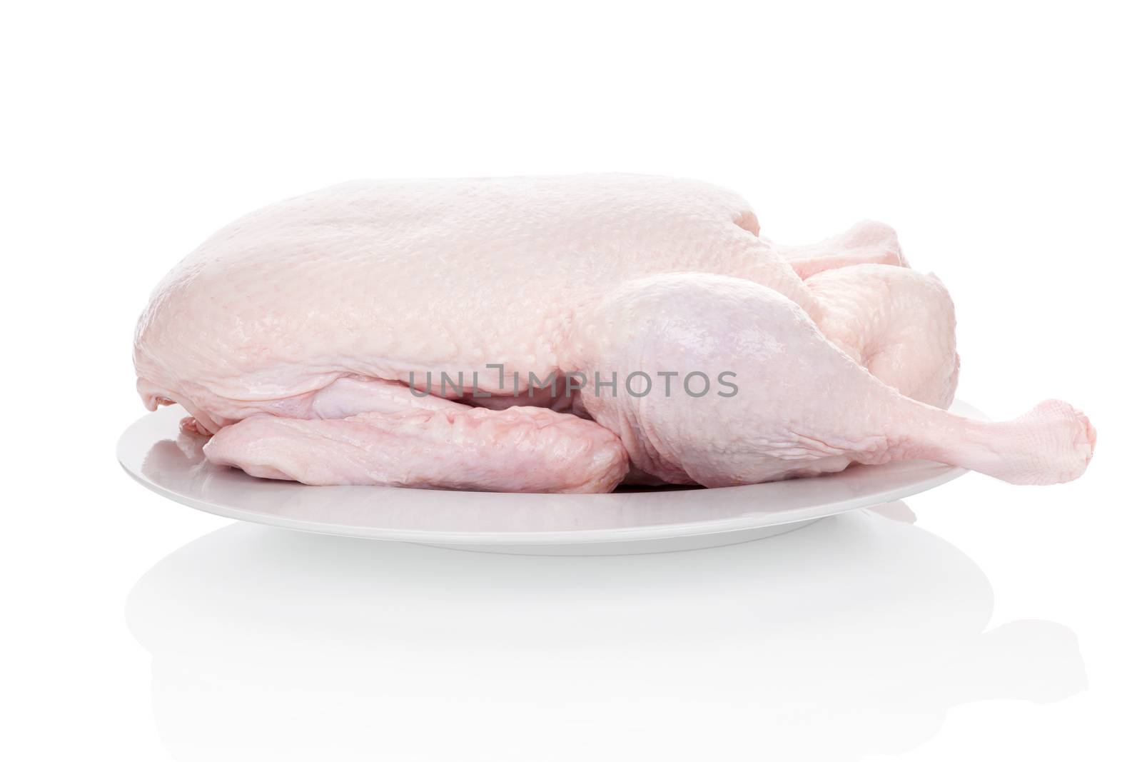 Fresh raw duck isolated on white background. Culinary cooking.