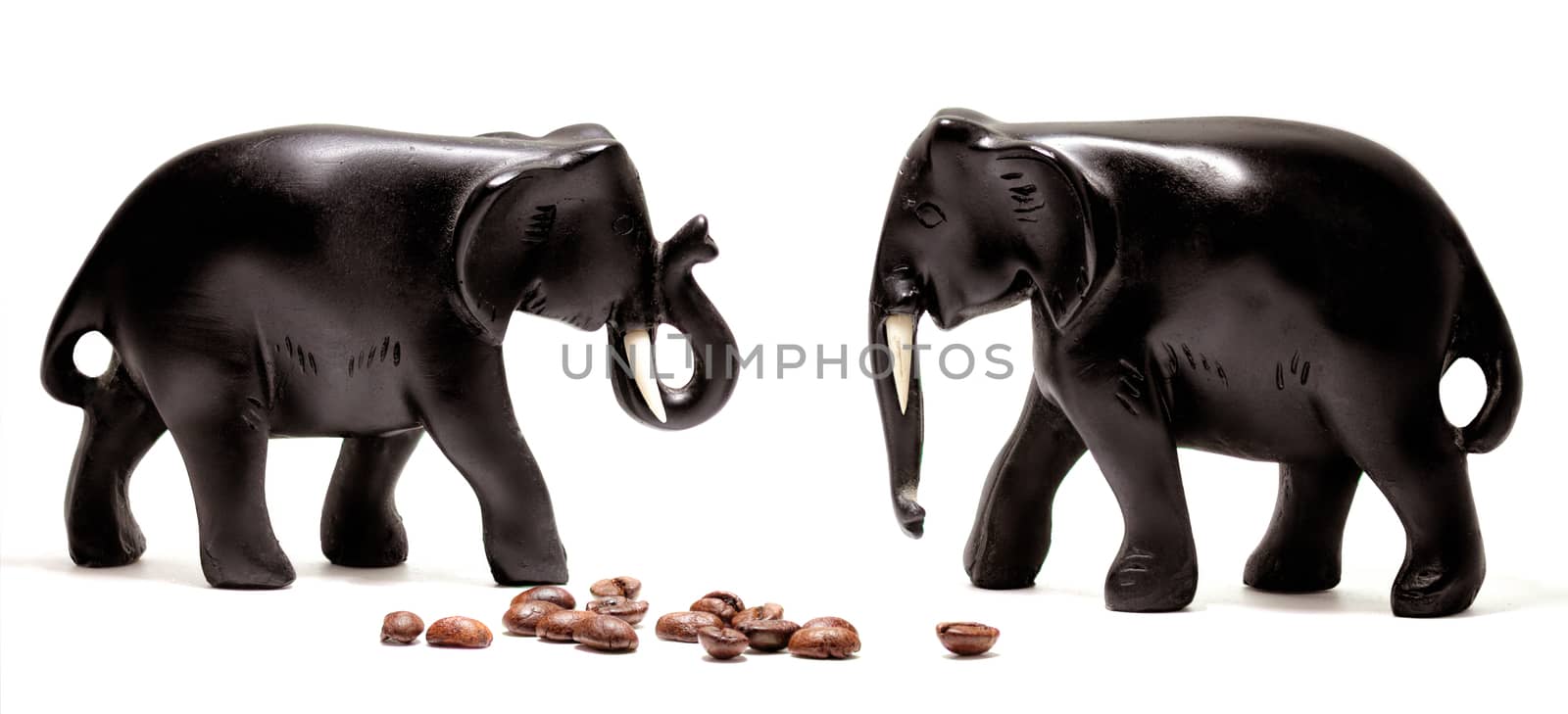Two Black Elephants with Cofee Beans