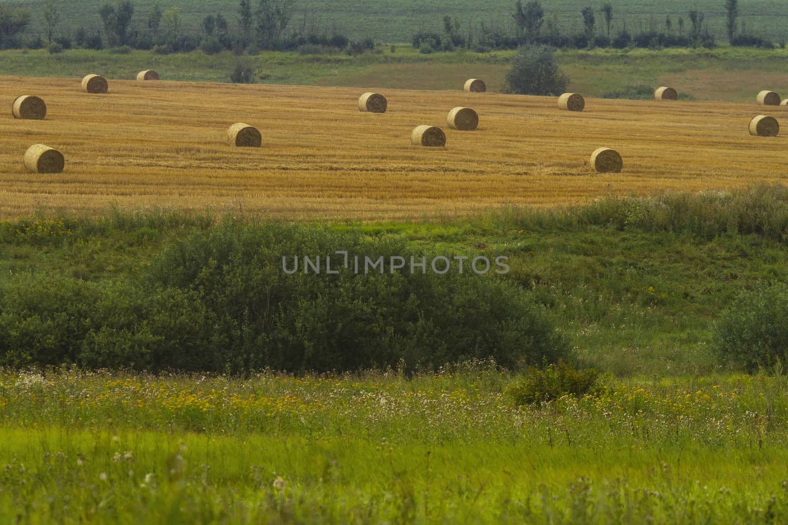 Haystacks on a field in Russia, Tula