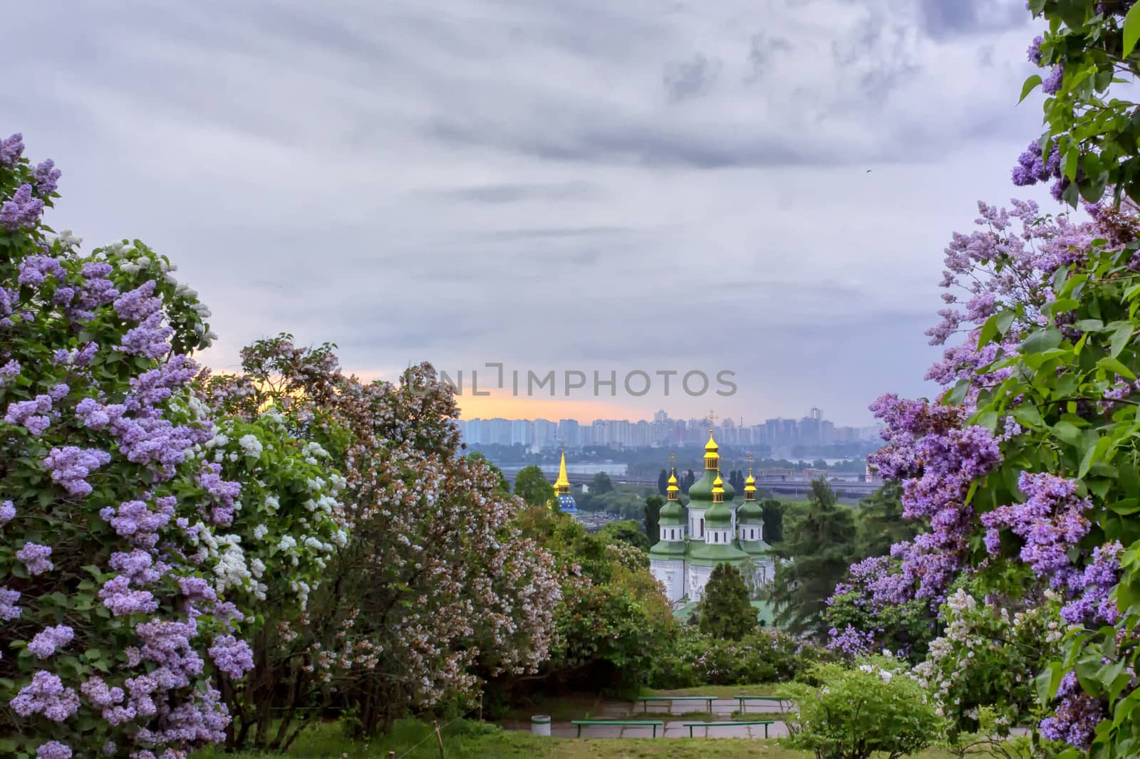 Sunrise in Botanical Garden overlooking Vydubitskiy Monastery through the lilac blossoms