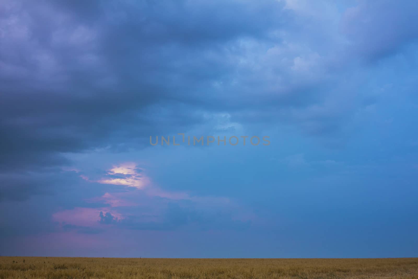 Twilight sky over the field by Chudakov