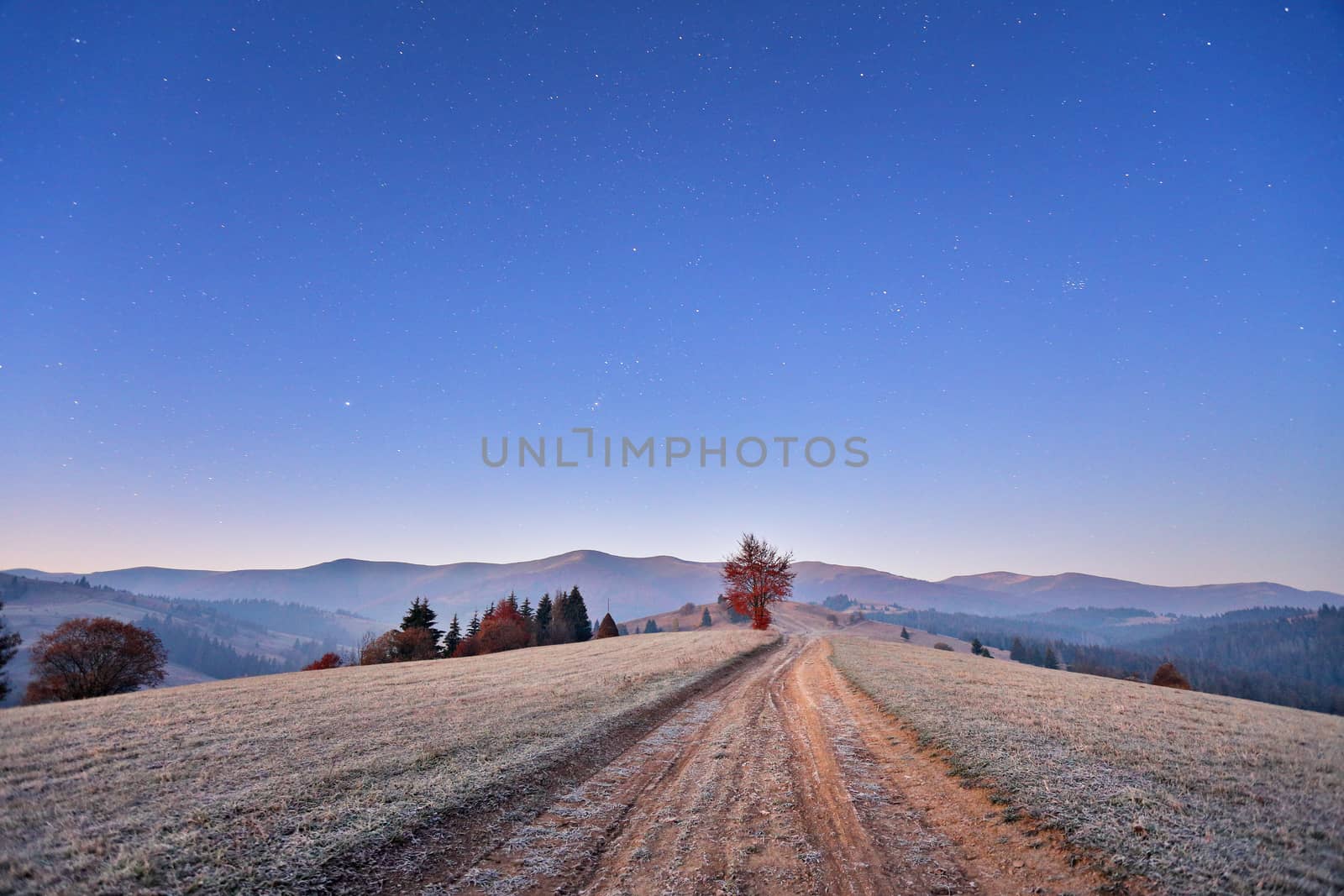 November cold frosty dawn in Carpathian mountains. Morning stars by weise_maxim