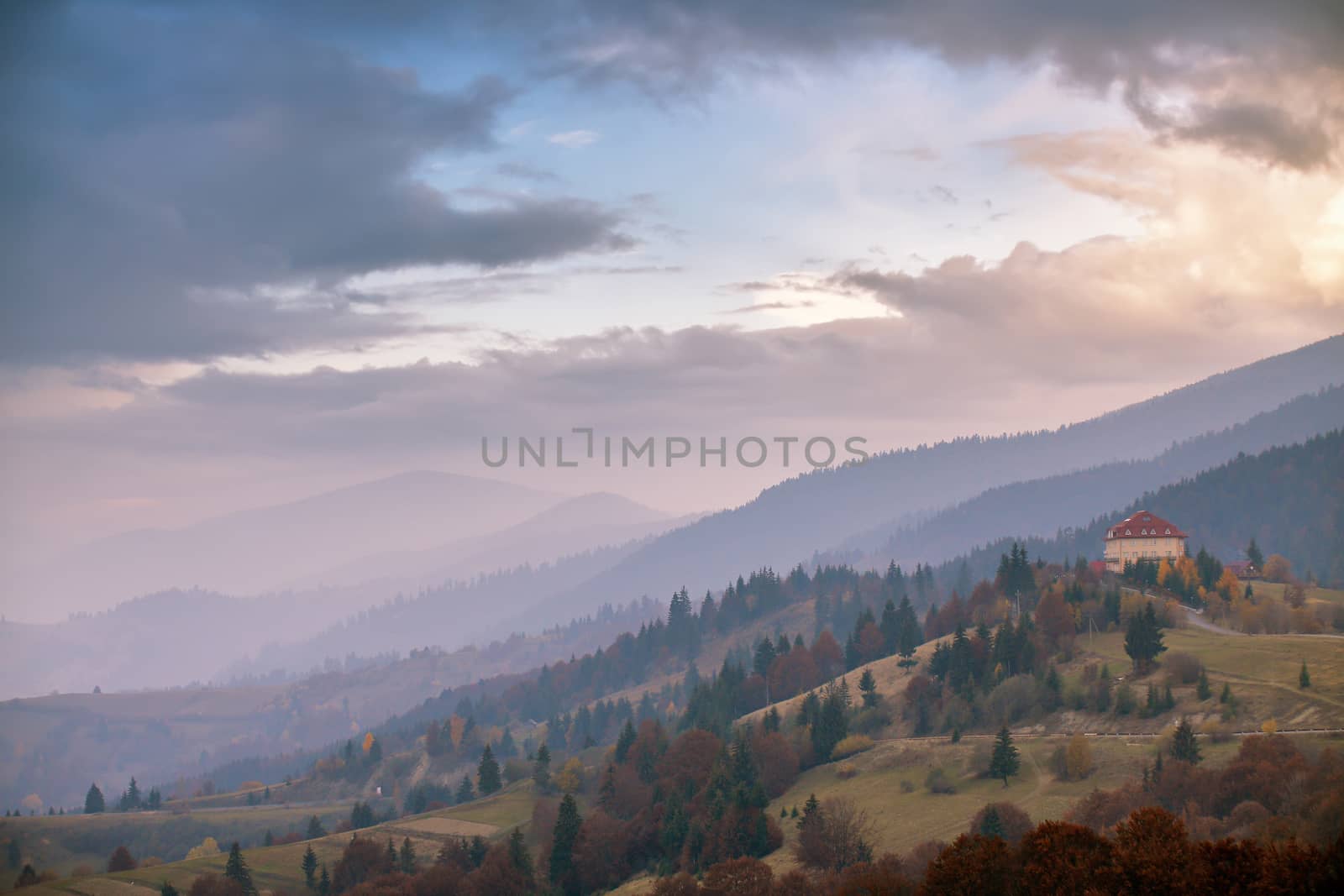 November foggy morning in Carpathian mountains by weise_maxim