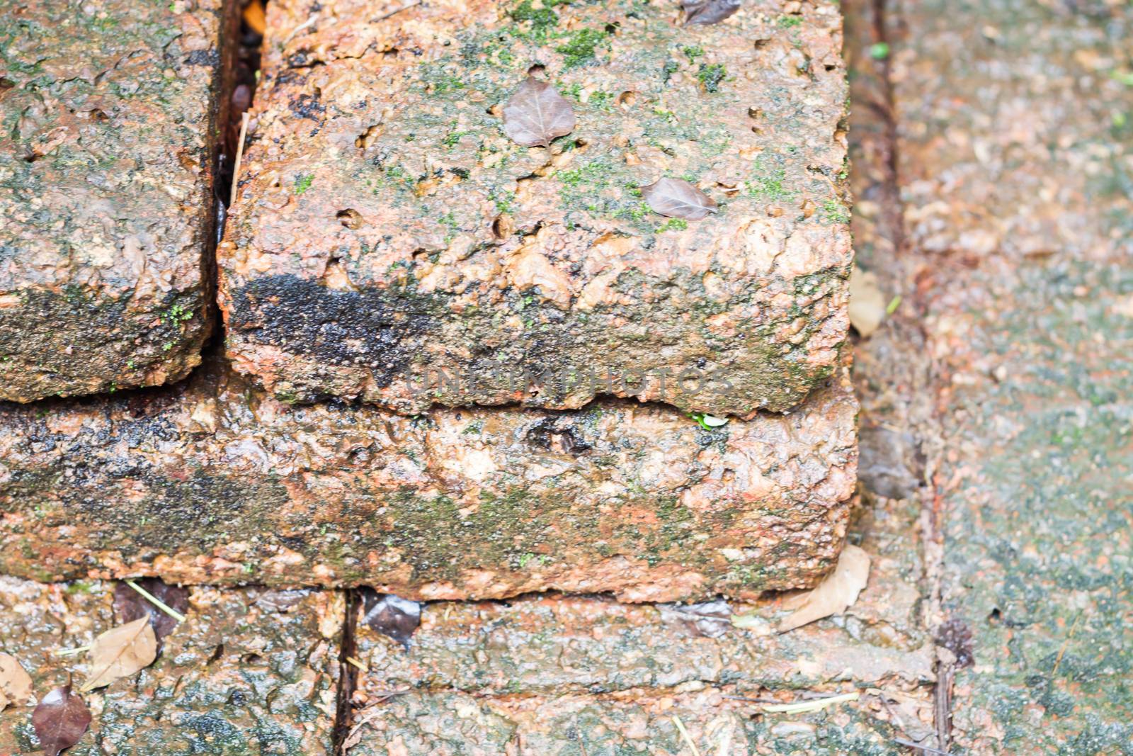 Close-up of laterite in garden, stock photo