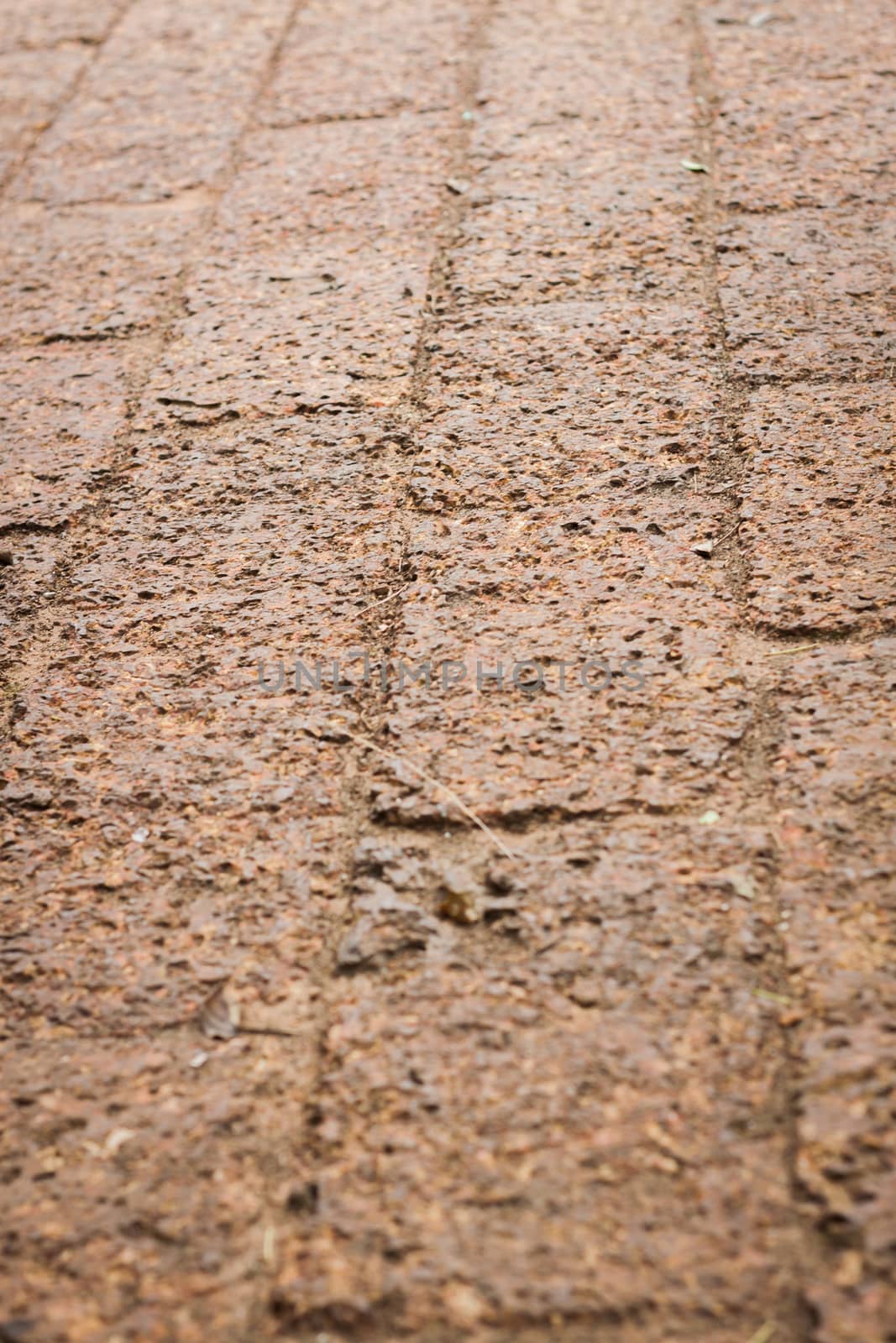 The pattern of laterite walkway in the park, stock photo