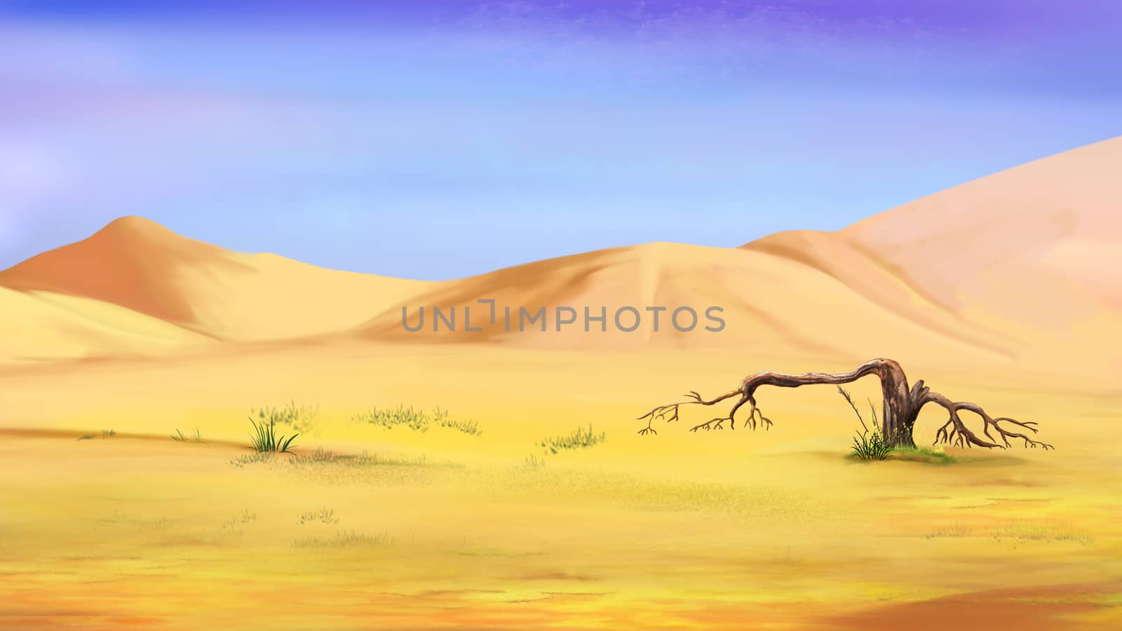 Dried Small Tree in the Desert by Multipedia