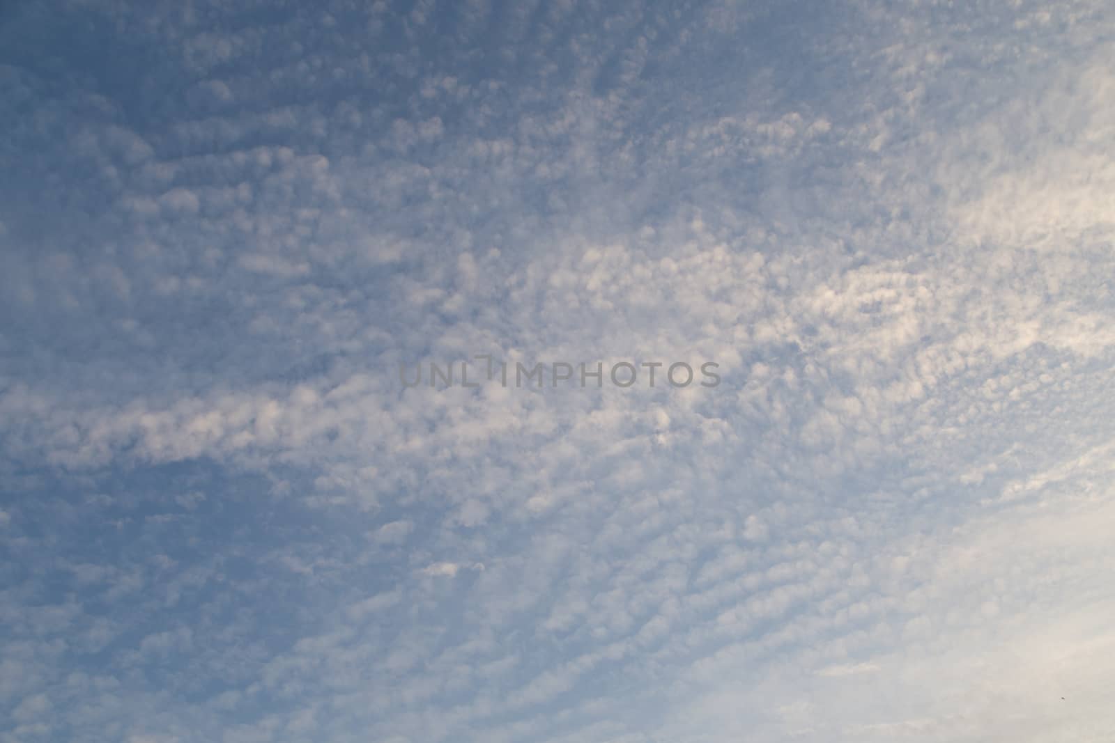 Blue Sky and Cloud by ngarare