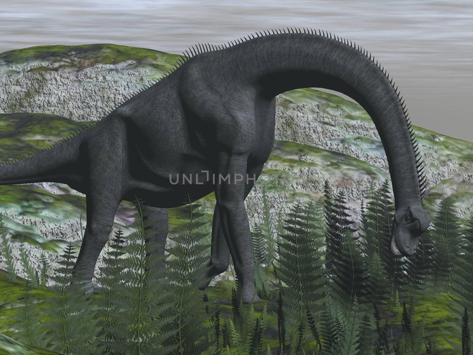 Brachiosaurus dinosaur eating fern on the ground - 3D render