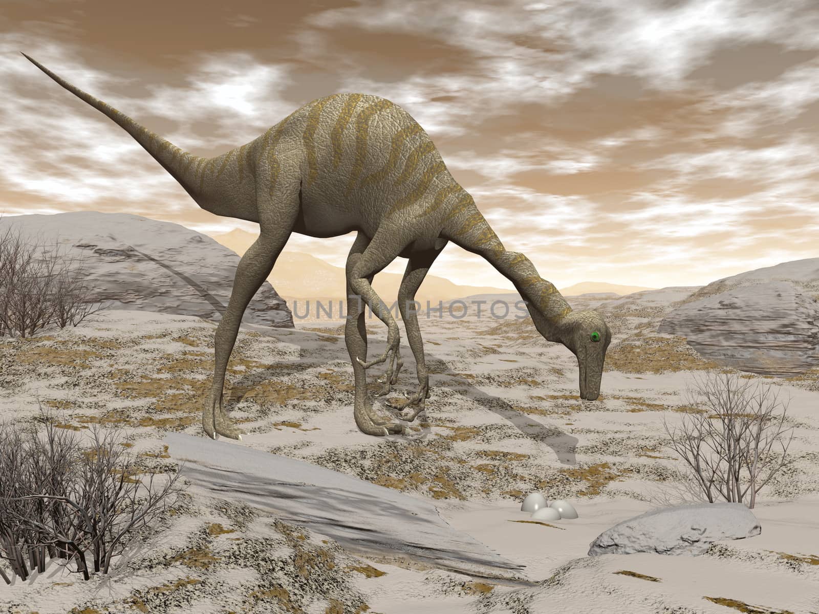 Gallimimus dinosaur discovering eggs in the desert by brown sunset - 3D render