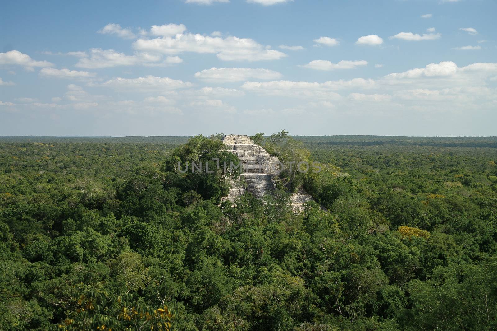 The pyramid structure of 1 in the complex rises over the jungle of Calakmul, Mexico