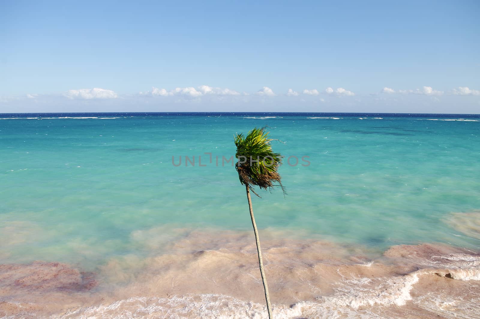 Wind on the coast of the Caribbean Sea, Mexico. Riviera Maya