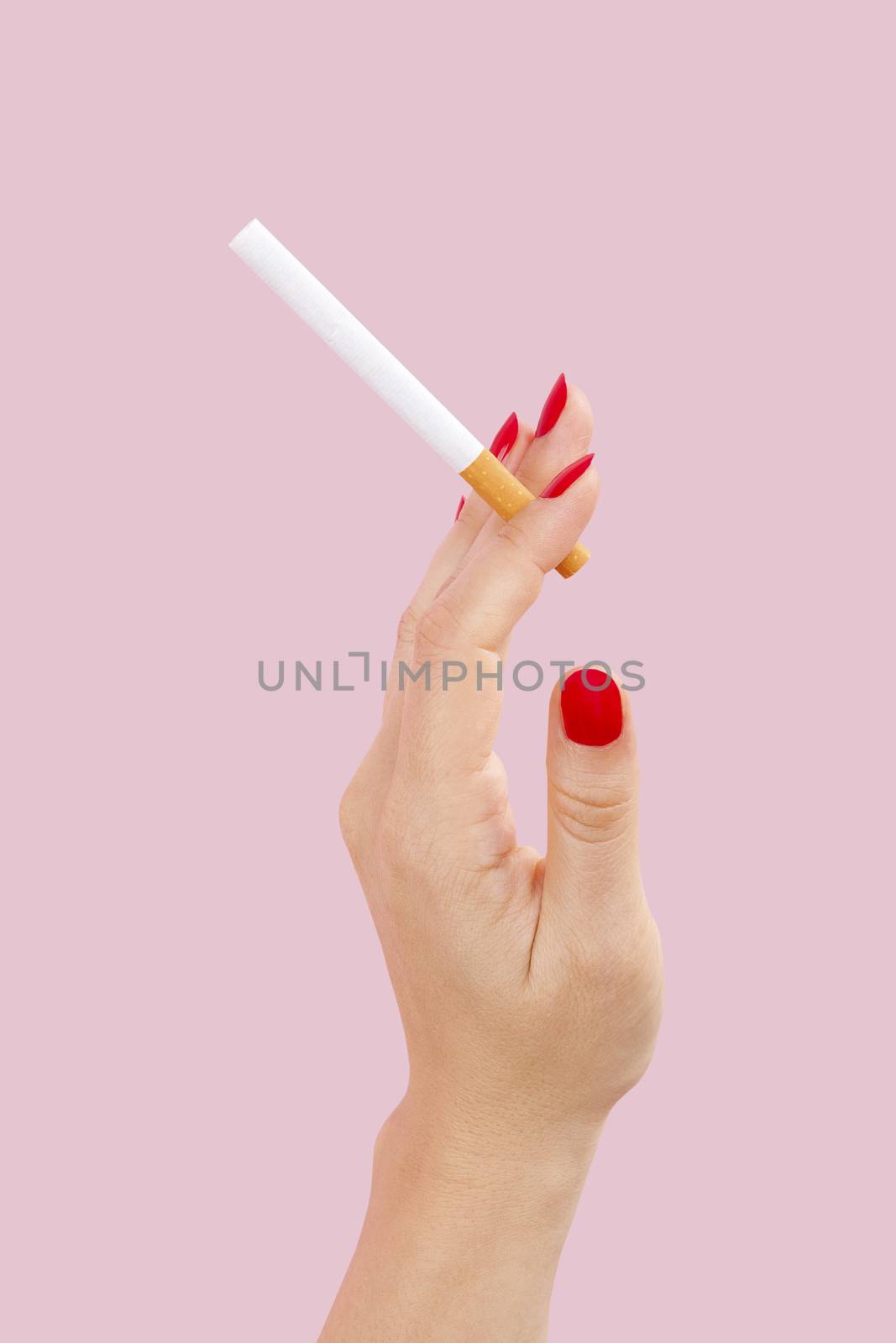 Female hand holding cigarette isolated on pink background. Feminine tobacco abuse.