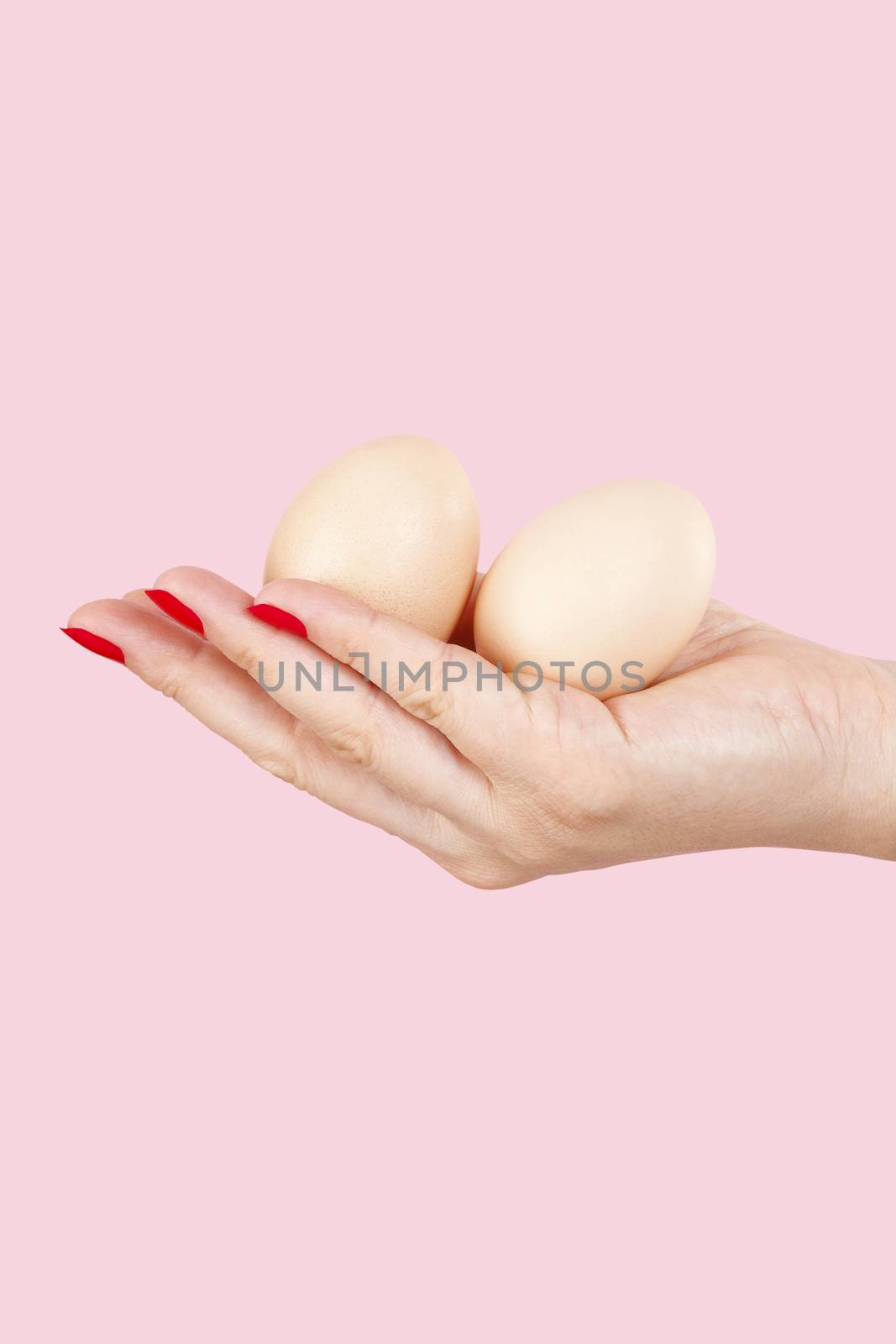 Female hand with red fingernails holding two eggs isolated on pink background. Feminism, emancipation, provocation and relationship problems.