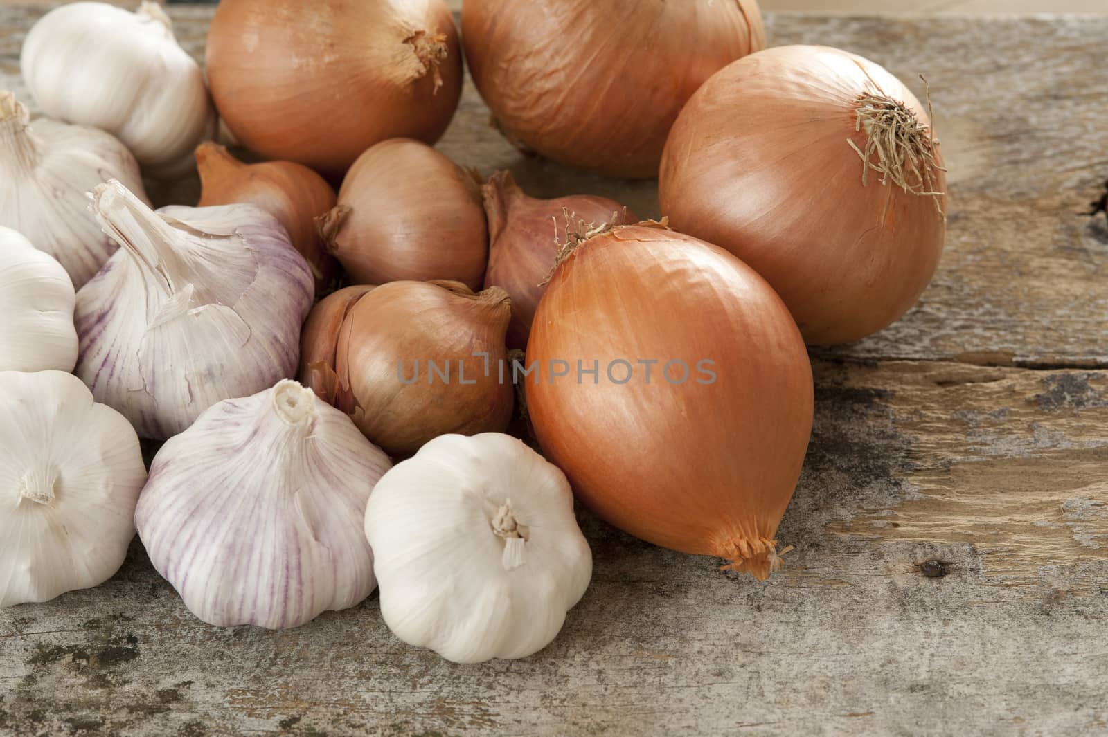 High Angle Close Up Still Life of Harvest of Fresh Onions and Garlic Bulbs on Rustic Wooden Table with Copy Space