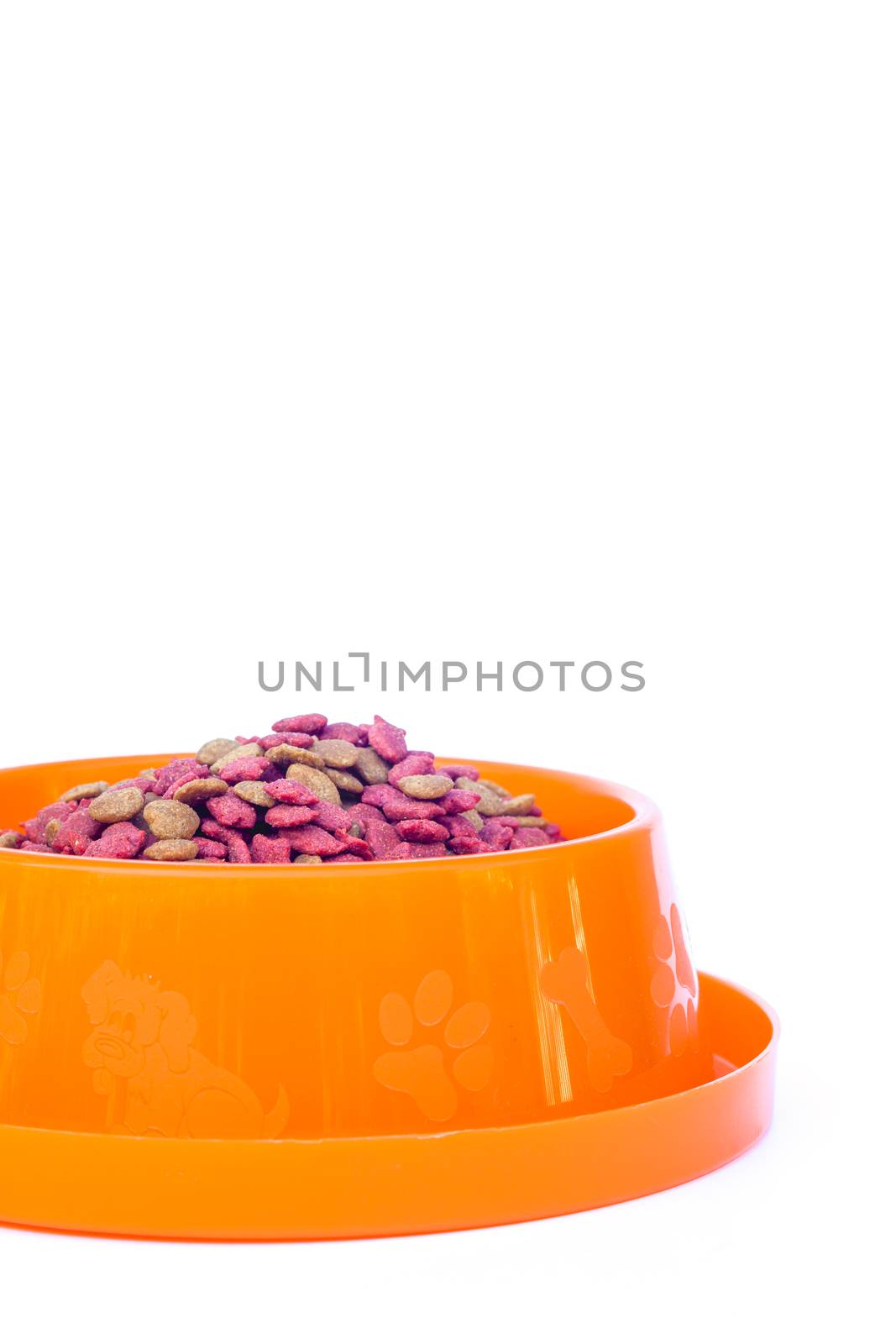 Dry cat food in orange bowl isolated on white background, stock photo