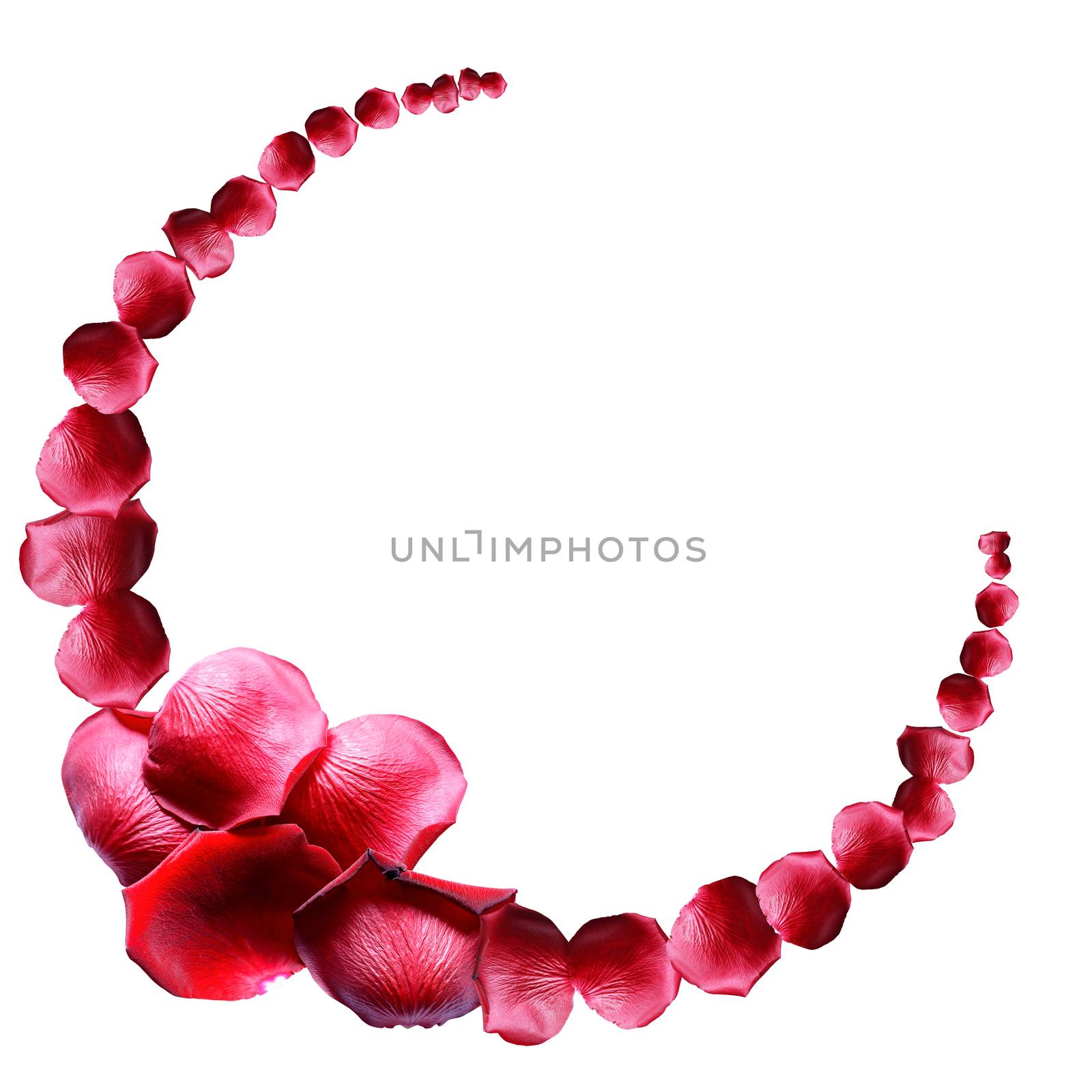 Nice border made from red rose petals on white background