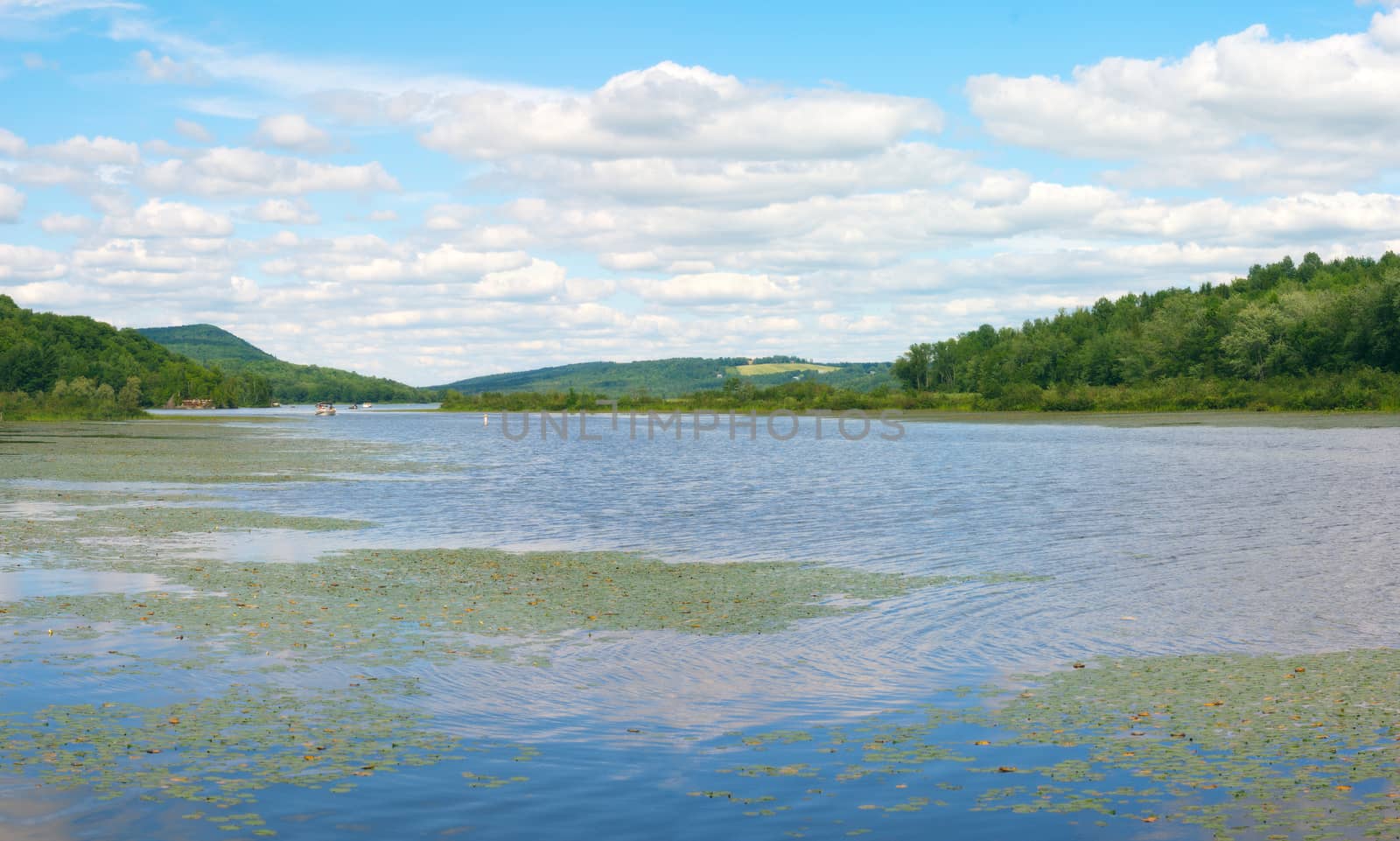 landscape panoramic, water pound with waves reflections and mountains, waterlilies and cloudy sky
