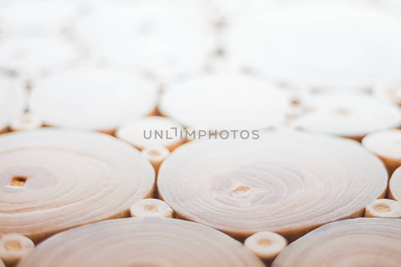 Wood texture of cut tree trunk, stock photo